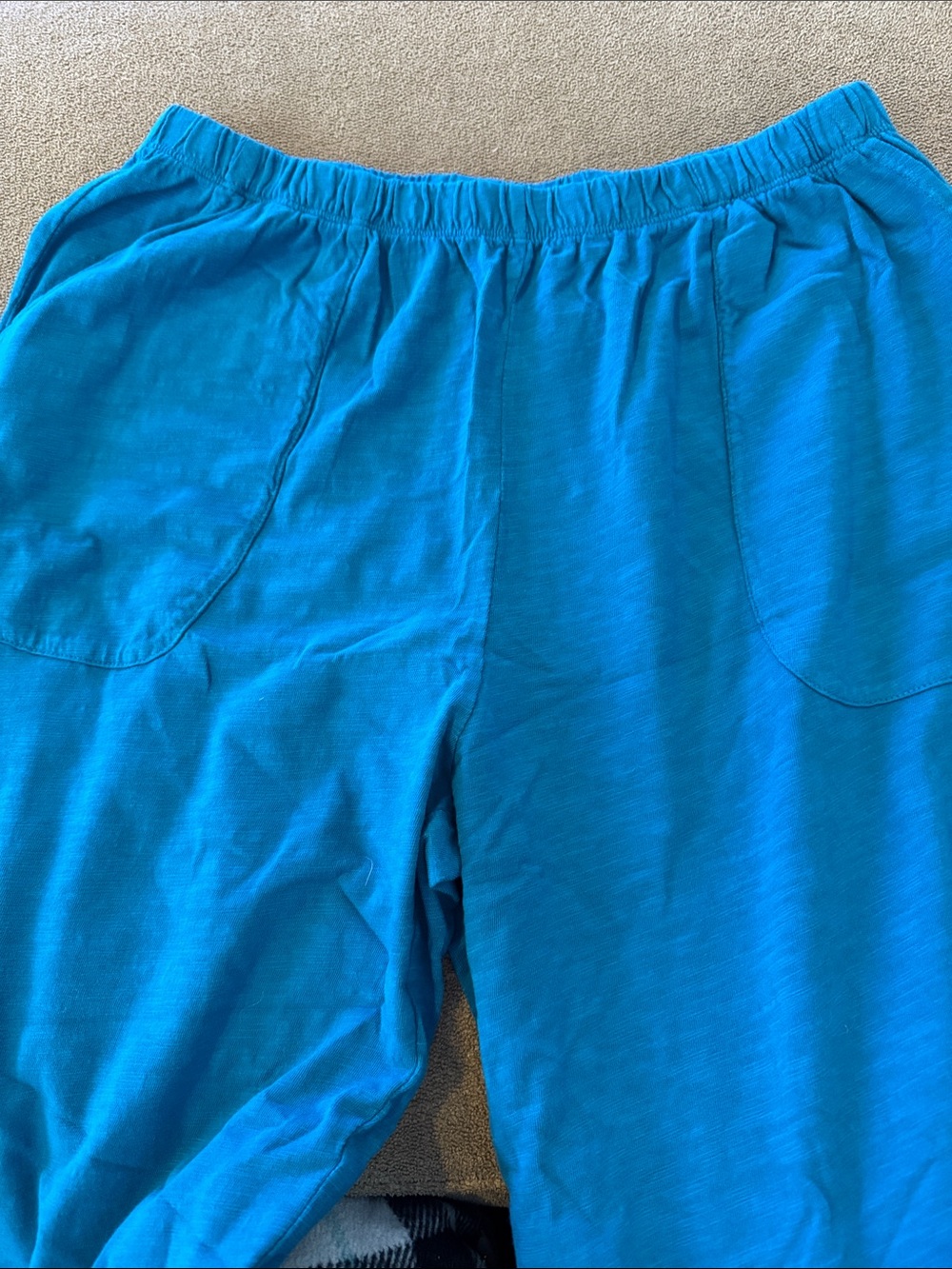 New Cotton Lani Elastic Waist Teal Pants Size Large Pockets (TD)